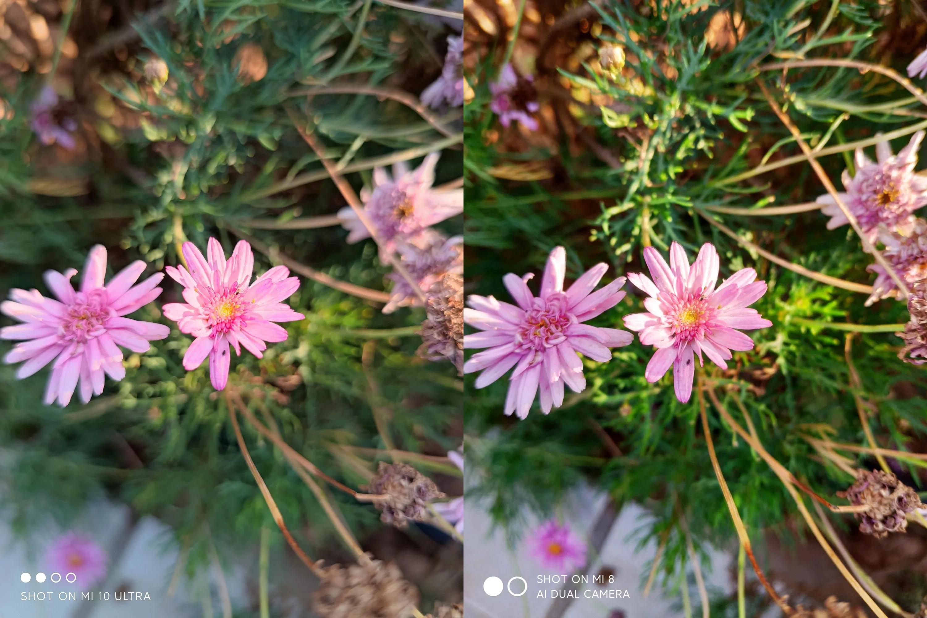 小米10至尊纪念版和荣耀magic3pro,小米10至尊纪念版对比小米11ultra