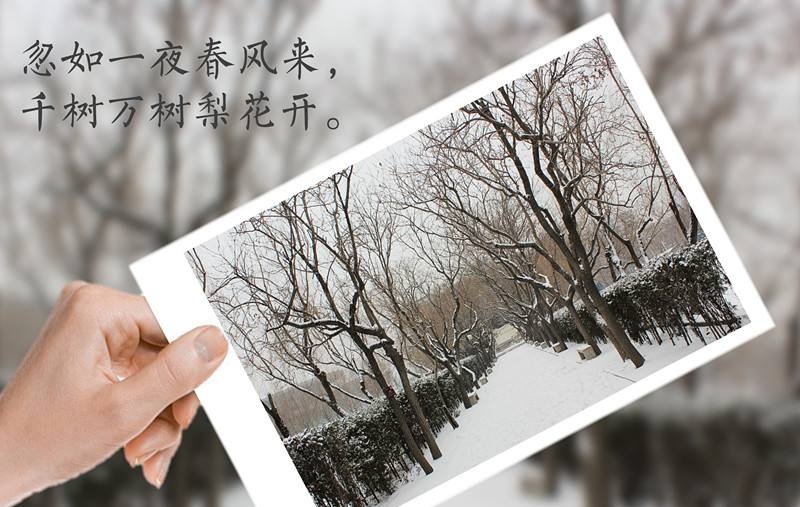 小学生必背成语和古诗二年级下册,和春节有关的四字成语和古诗