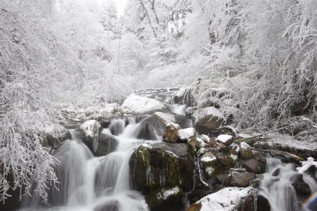 春节风景绝美的旅行地小众,春节云海旅游攻略