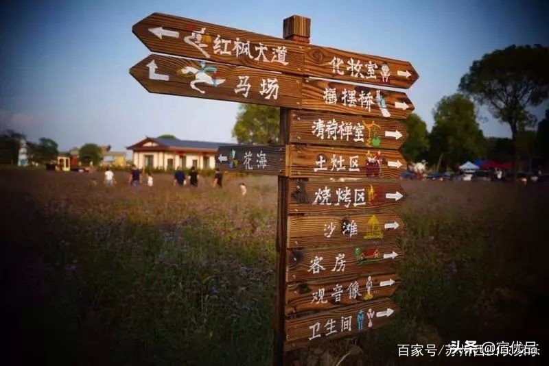 苏州太湖花海主题公园,太湖花海游乐场