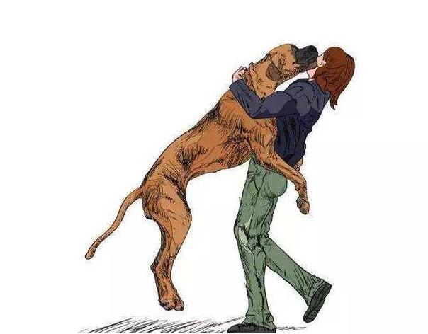 狗狗为什么总喜欢扑上来,狗狗为什么会扑向主人