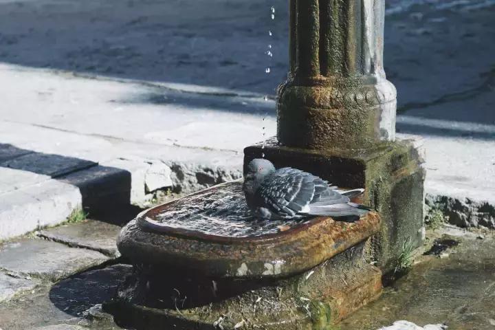 意大利格子上衣怎么搭配,意大利秋季穿搭