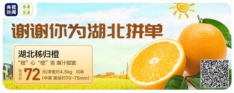 带货我们是认真的,带货我们是一流的