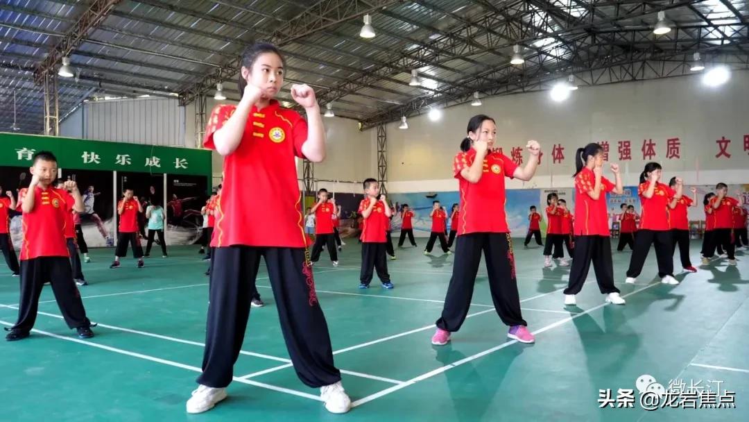 不断提升农产品附加值,闽西长汀县槟榔芋基地