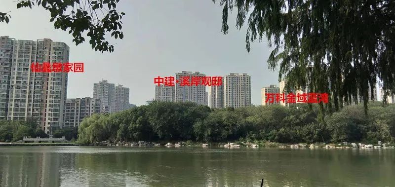 探地水产市场！中产貌平女孩招婿，青年才俊抢否？