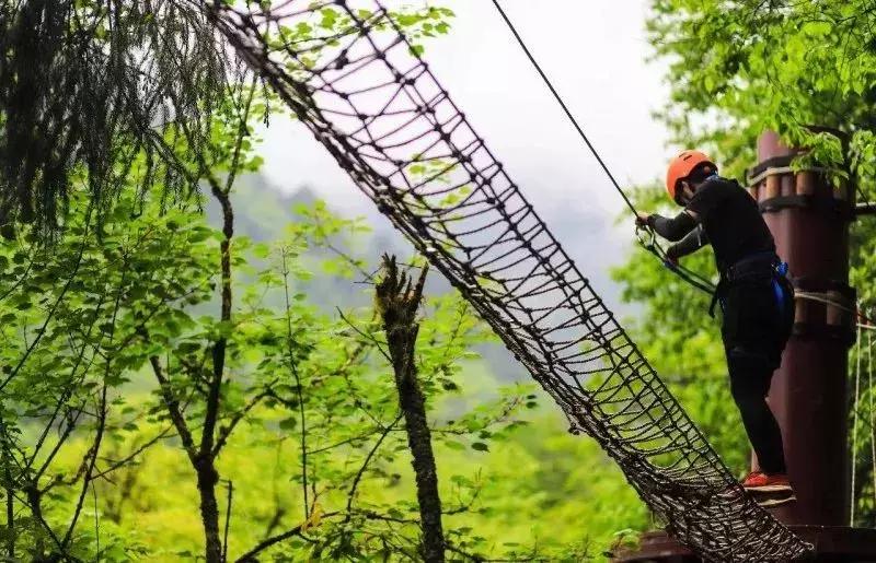 成都自驾百里杜鹃旅游攻略,万亩杜鹃花在青山幽谷