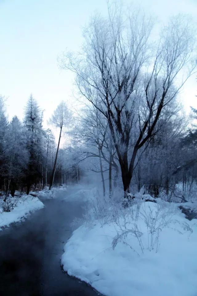 冬季的长白到底有多美？