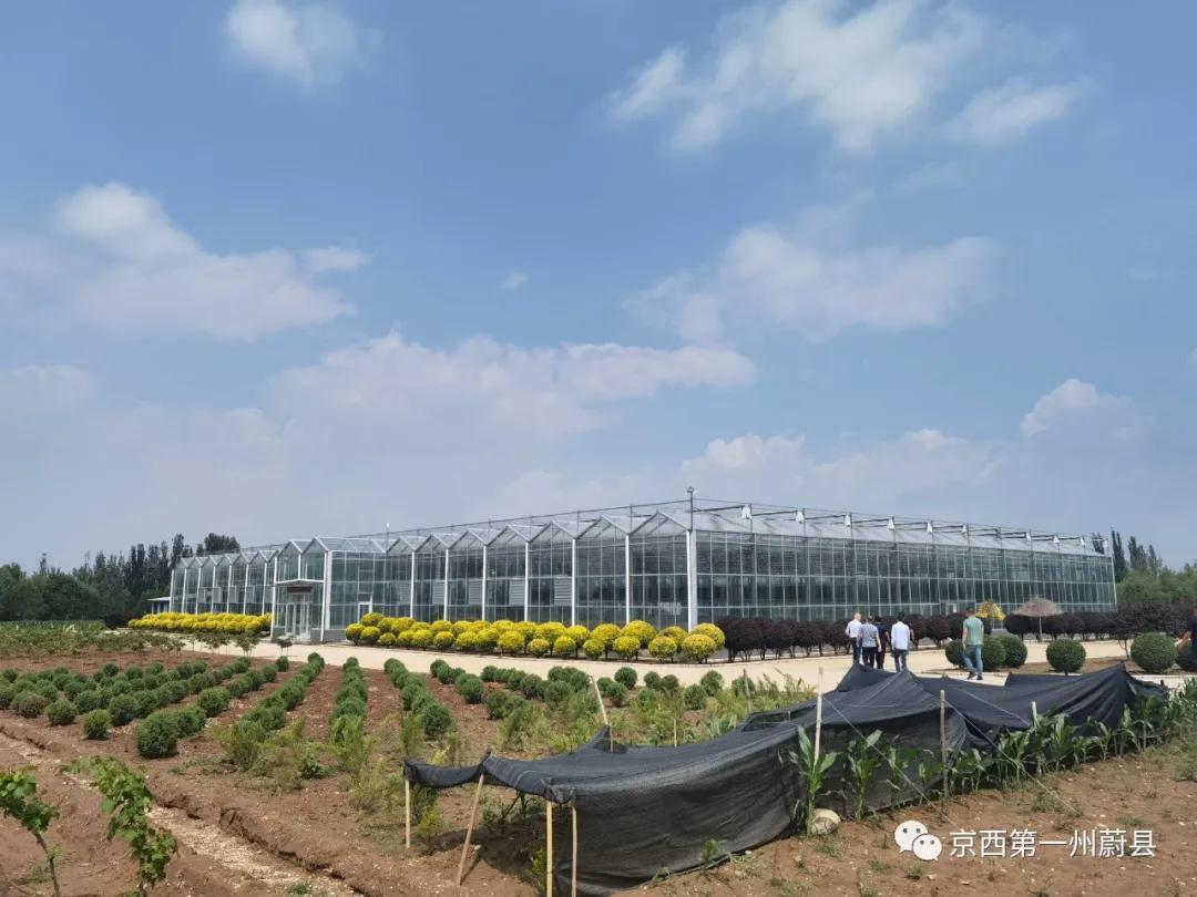 荷兰农业项目考察组来蔚县考察