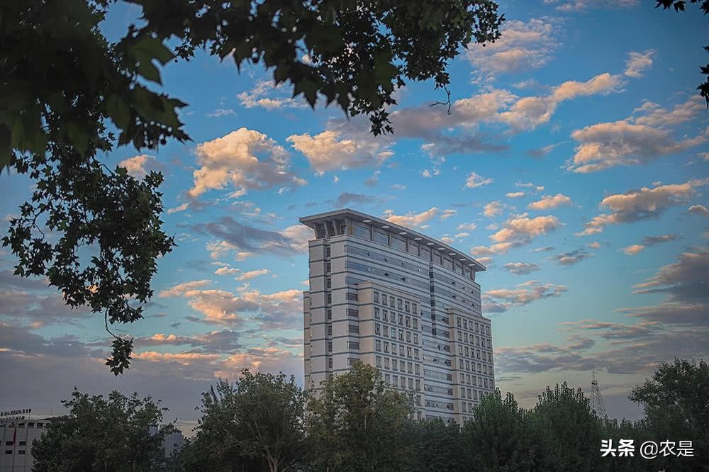 贺秀媛（女），湖南道县人，河南农业大学教授硕导，病毒病理专家