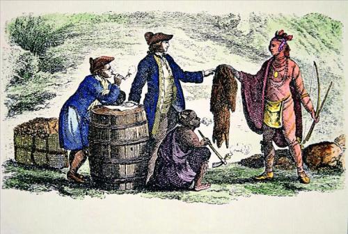 河狸皮毛的优点,河狸皮毛十分名贵