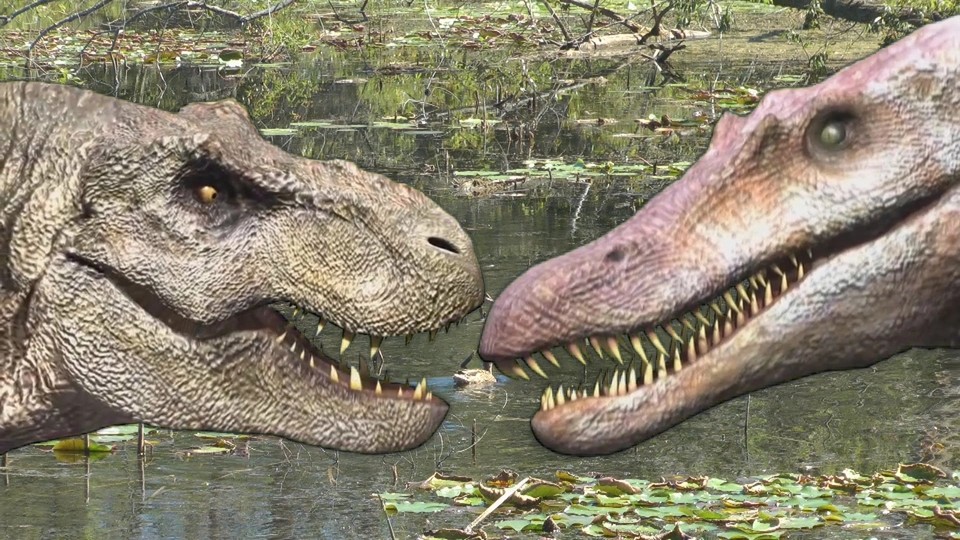 《侏罗纪公园3》棘龙打败霸王龙：主角光环实力碾压？