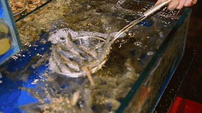 别“吃瓜”,吃海鲜!吃货们做好“时间管理”,封海将至!