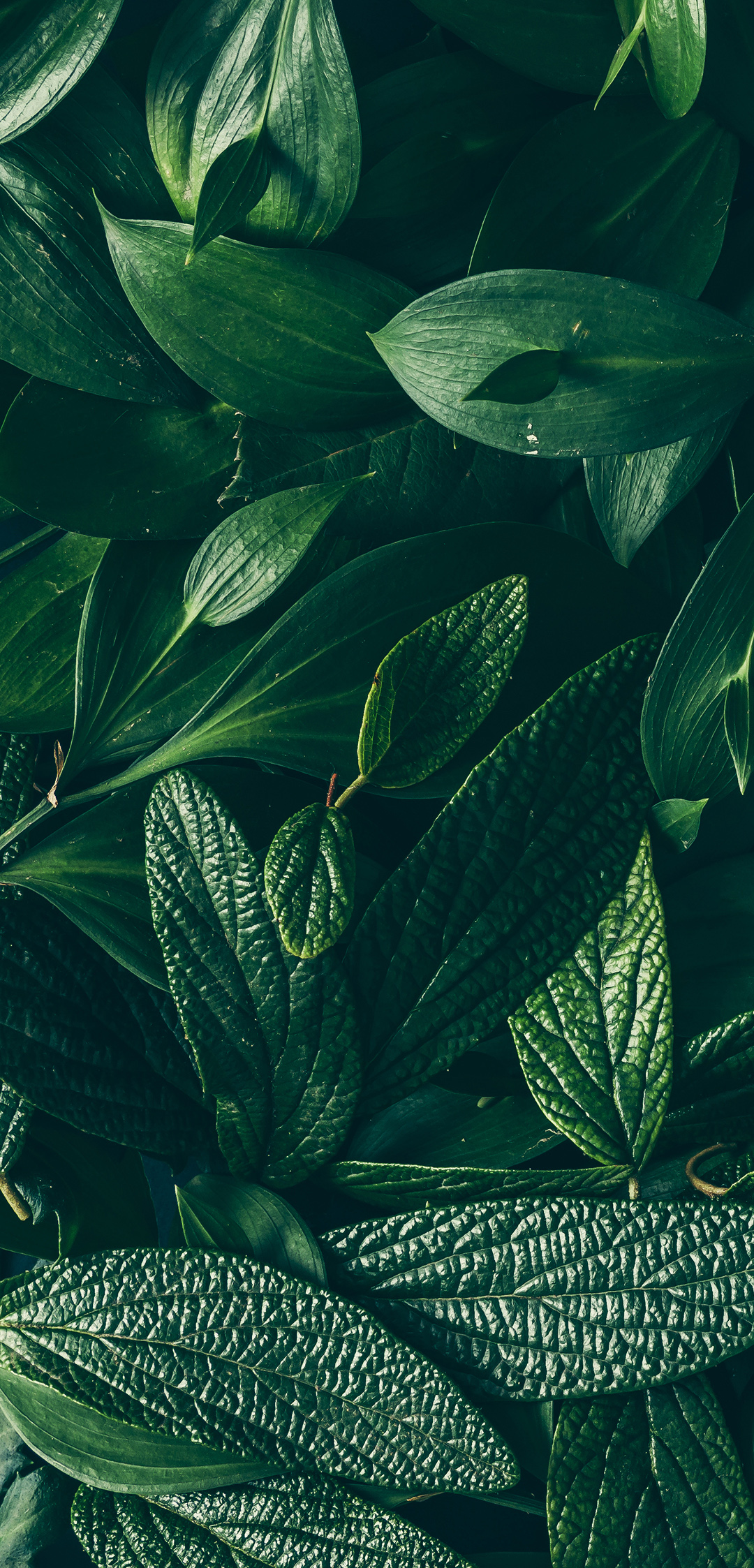 iphone7爱思助手越狱提示失败,ios8.3完美越狱失败的正确解决方法