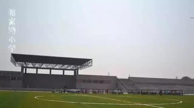 2023年重庆小学排名,重庆两路口小学跟鹅岭小学哪个好