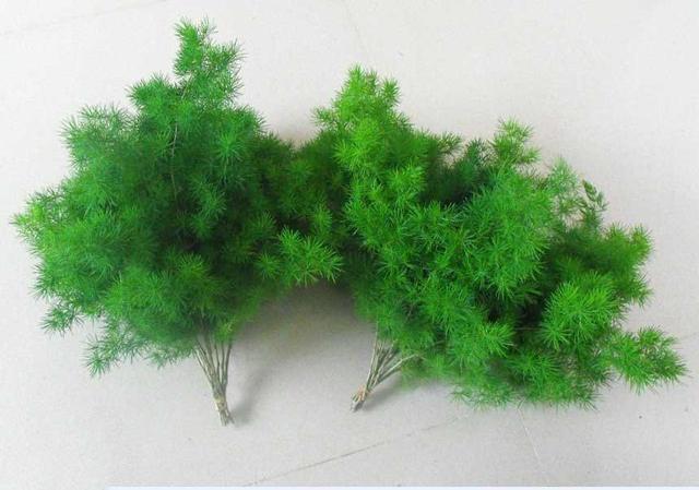 店铺摆什么植物生意好,做生意摆放植物哪些最好