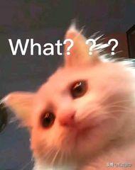 英国留学必备app大全免费,英国生活留学生必备app你下载了吗