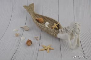 鎭掓偊瑁呴グ璁捐,杞瀹跺眳瀹氬埗妗堜緥鍒嗕韩