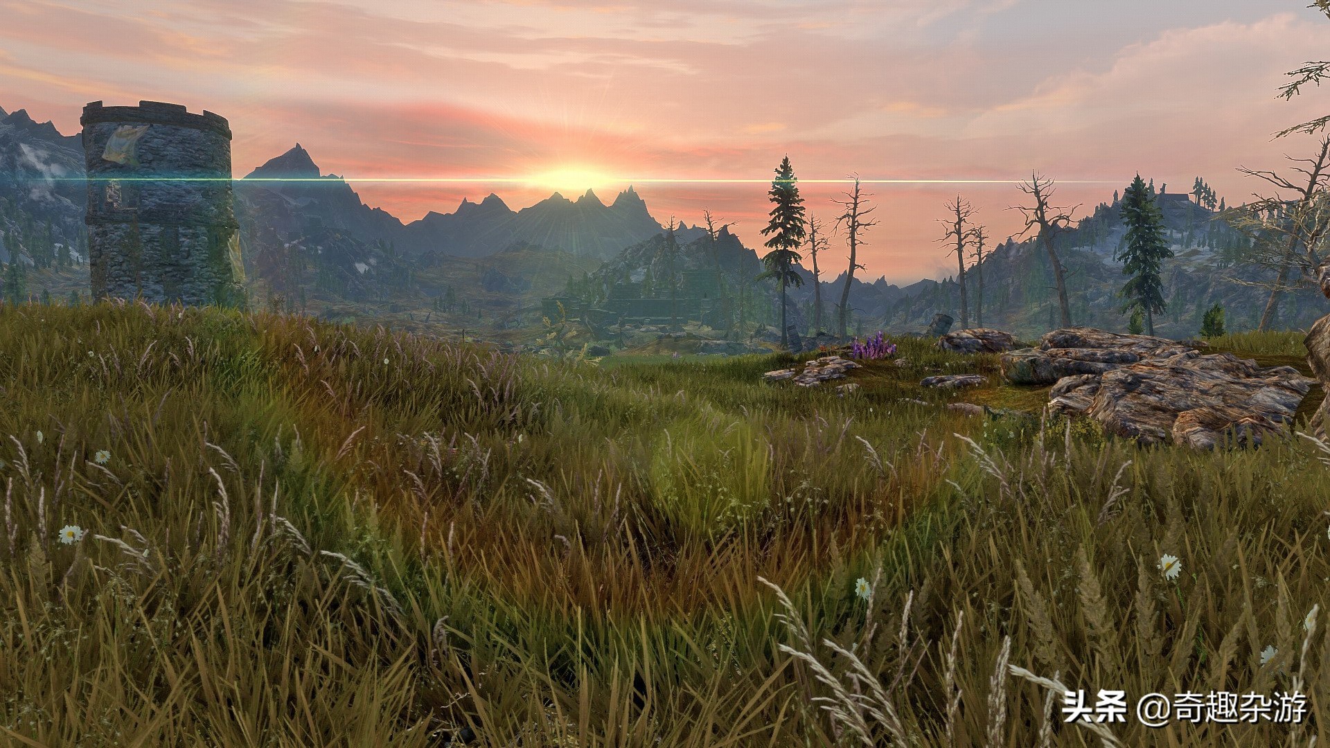 阿玛拉王国游戏心得,阿玛拉王国是单机游戏吗