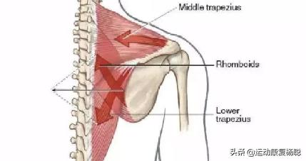 肩关节弹响的原因和解决办法,偏瘫患者肩关节弹响怎么回事