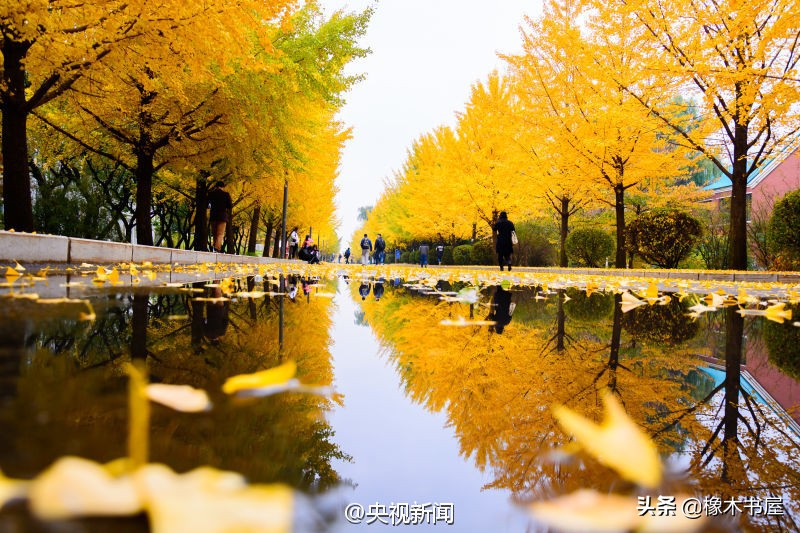 电子科技大学成都学院什么档次,电子科技大学成都学院属什么档次