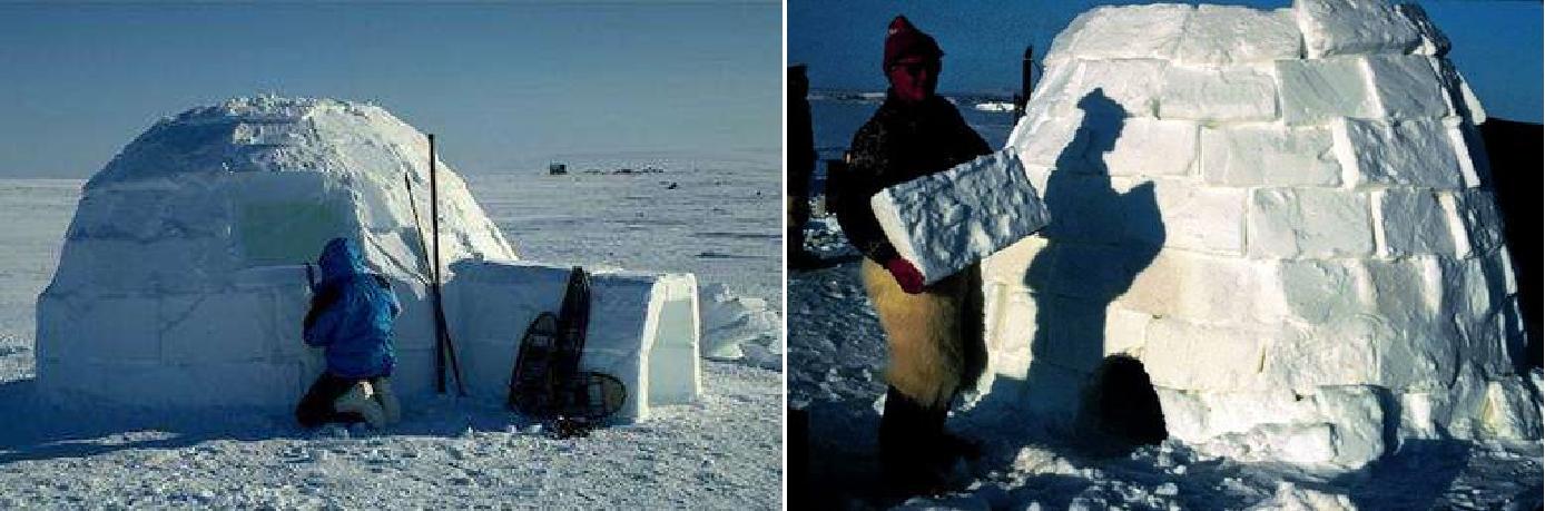 爱斯基摩人纪录片20集全,爱斯基摩人吃肉