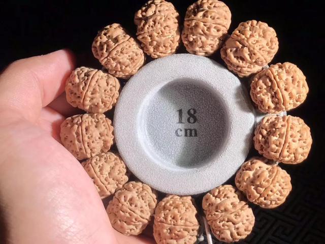 金刚菩提有什么套路,小心驶得万年船是什么意思