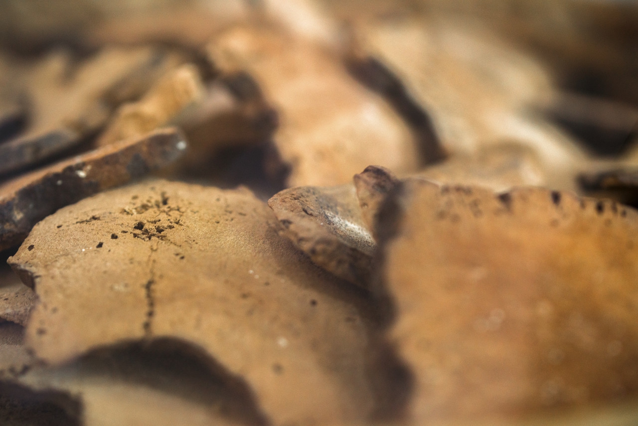 老人味觉异常是什么原因,为什么味觉会变苦