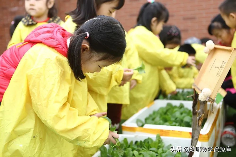幼儿园秋季教学活动安排,去幼儿园准备的教学活动