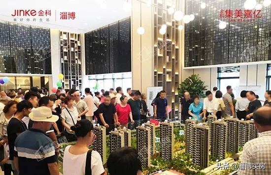 张店最新地块拍卖,淄博张店区中小学划片