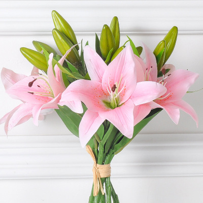 刘墉之子刘轩，手把手教你如何利用心理学，治愈“爱无能”