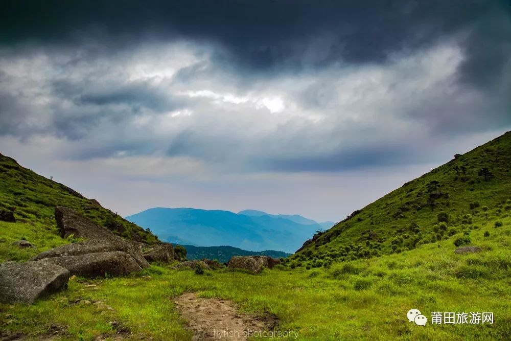 五月的山真的好美,五月的山的介绍