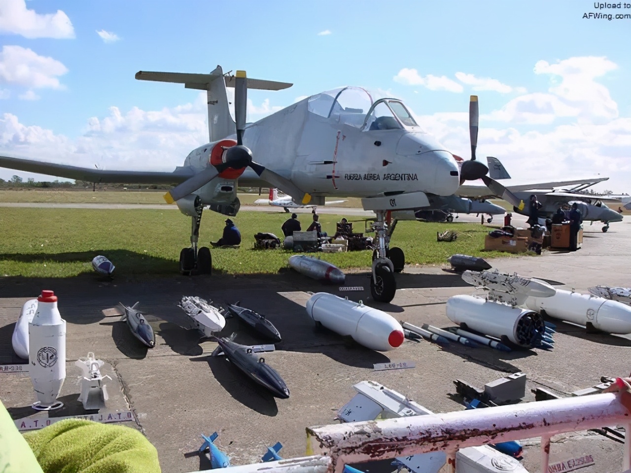 潘帕斯雄鹰和阿根廷巨鹰,潘帕斯雄鹰阿根廷史诗级反击