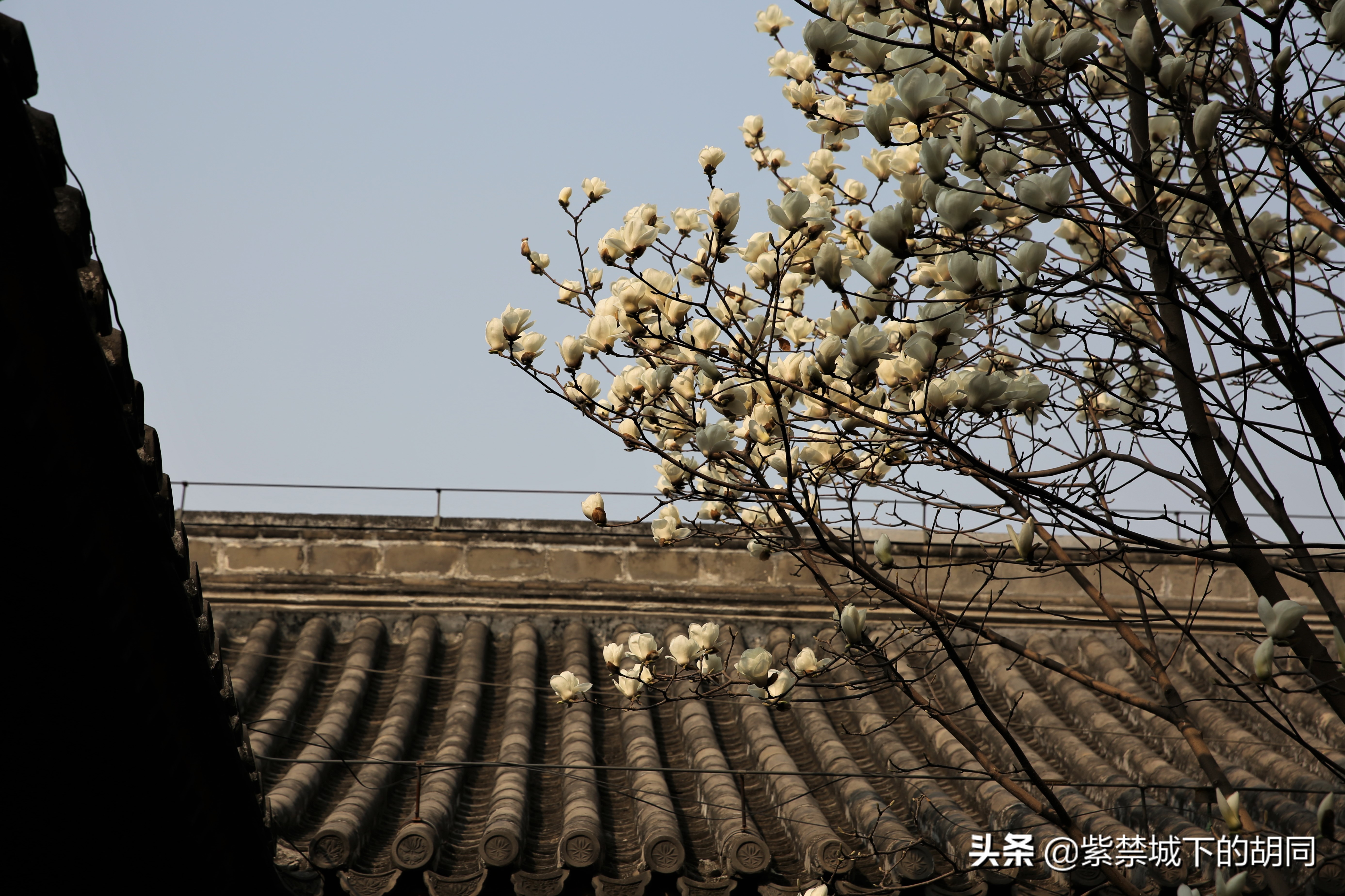 寻访京西千年古寺,寻访人间四月天