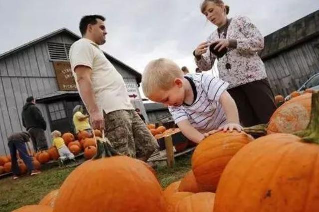 感恩节身心更健康,关于感恩节你不知道的真相