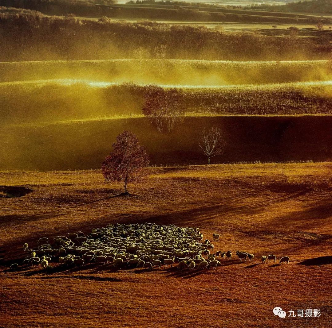 坝上草原天路美景,大美坝上风光系列之一