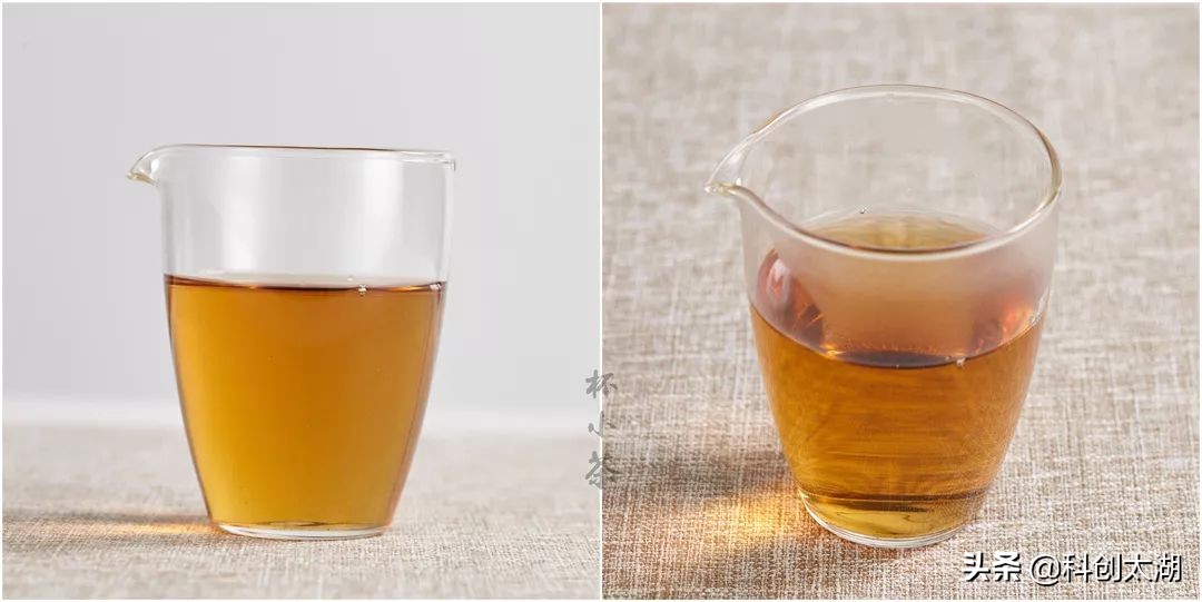 用多少度的茶泡茶最好喝,蒲公英根茶与什么泡茶最好