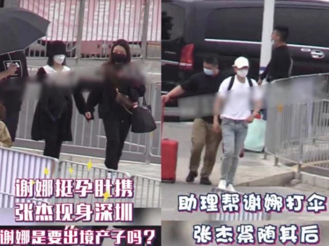 张杰第一次晒谢娜孕肚,张杰谢娜被网友偶遇