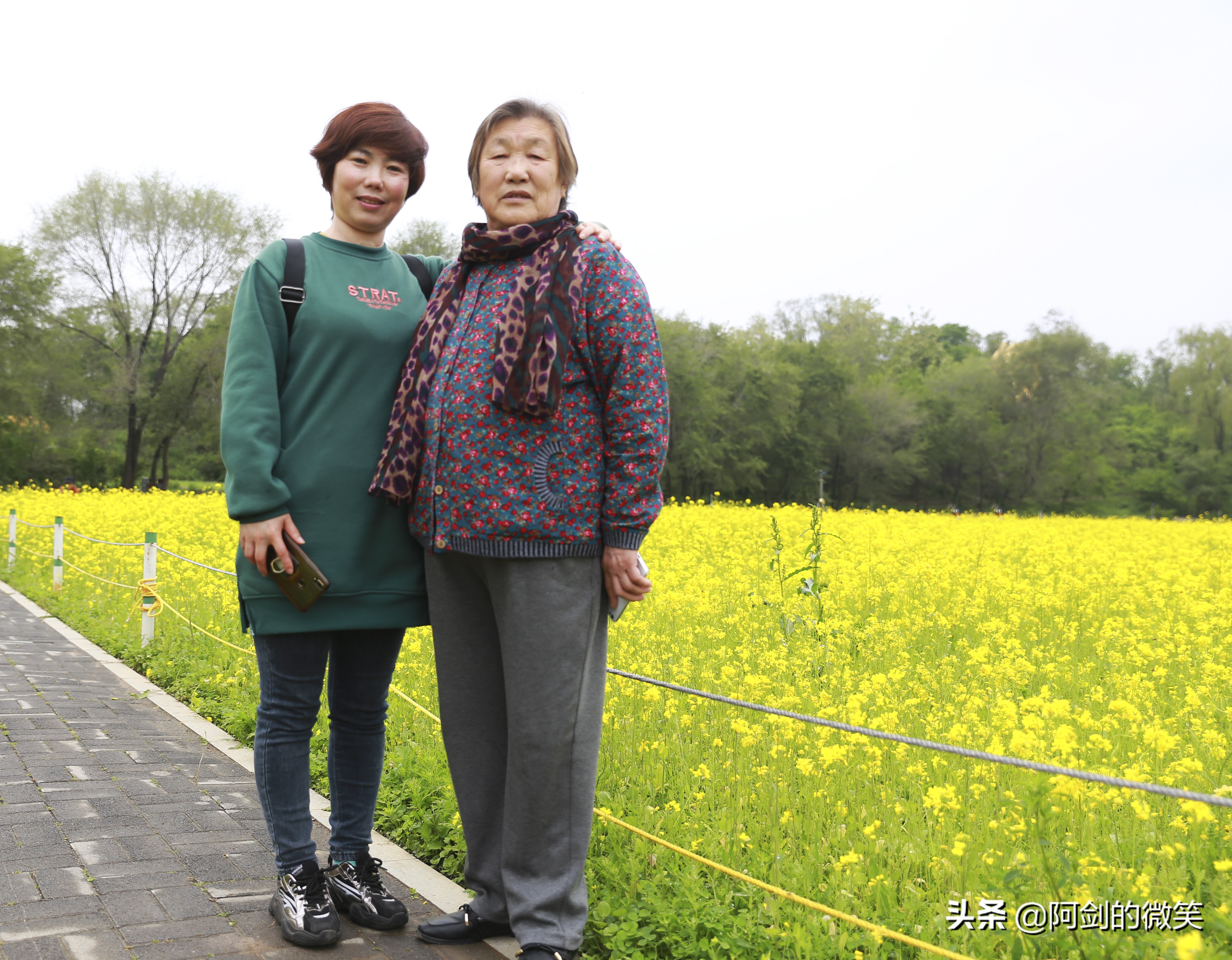 沈阳十一假期哪里有花海,沈阳玫瑰小镇温泉花海两日游