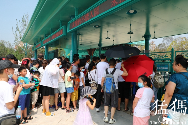 暗访天价郑州动物园,暗访郑州动物园