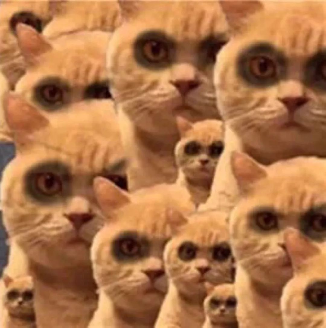 电音群成员分类研究报告,你是电音群中的哪类人?