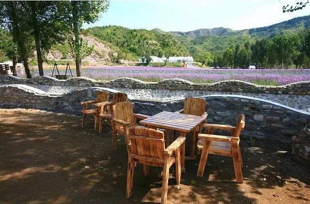 休闲农业特色案例,创意田园休闲农业