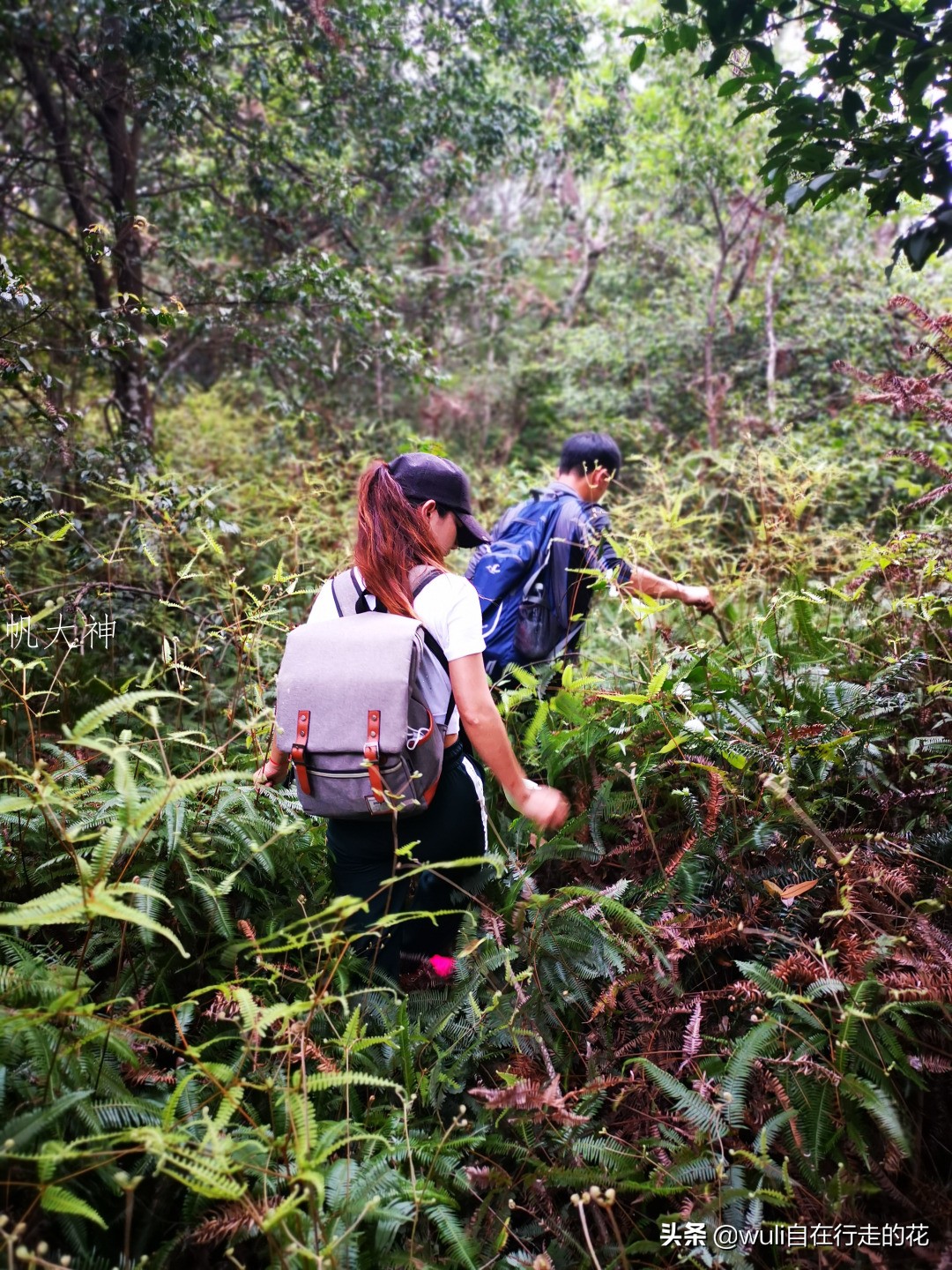 福州十八重溪徒步路线,福州森林公园登山徒步路线
