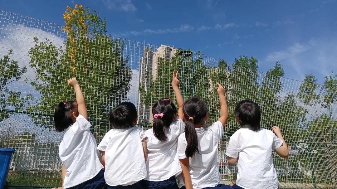 秋季校园足球联赛,秋季草坪氛围感照片