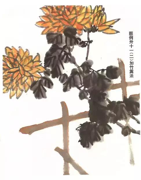 菊花国画入门简单教程,国画菊花画法技法教程
