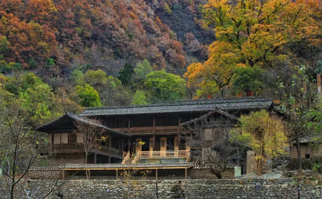 这就是幸福武都!