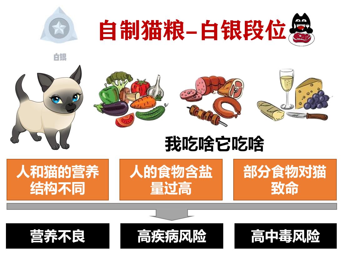 自制猫粮为什么不推荐煮而是蒸,自制猫粮有什么要求吗