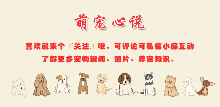 小奶猫的特有技能,刚出生的小奶猫没有妈妈能养活吗