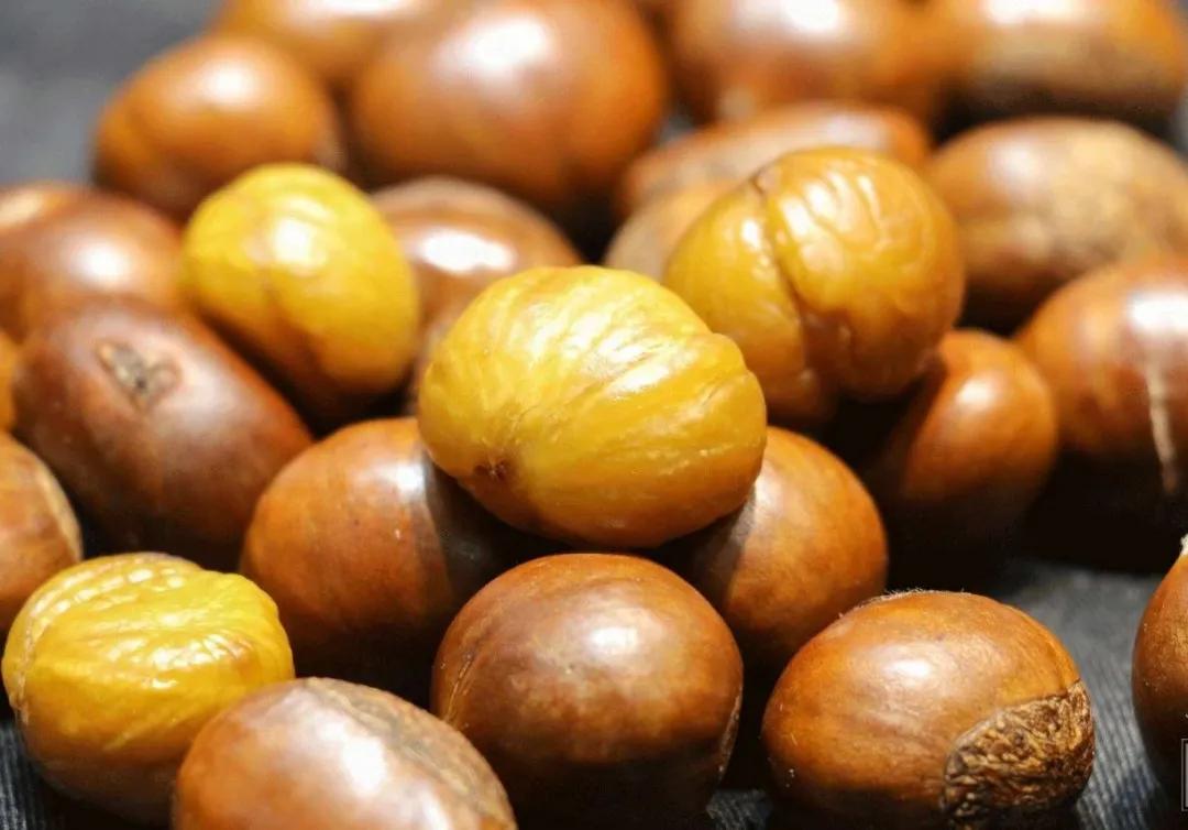 商洛人都不知道的特产,商洛野果特产