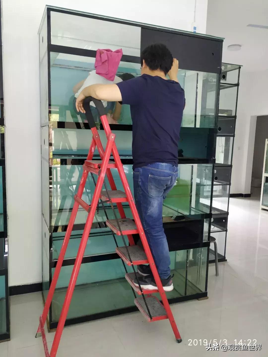 梦想的三湖世界持续建设中……方位:中国天津