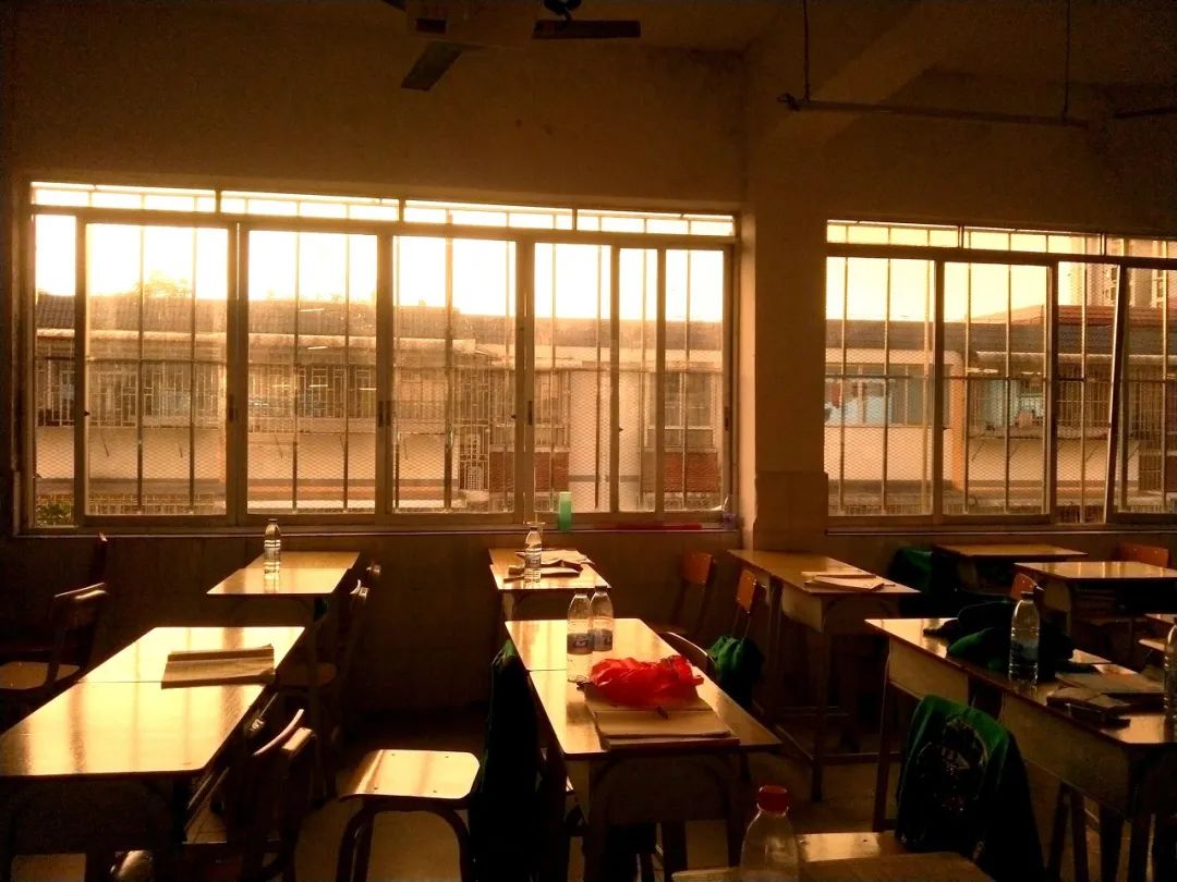 我怀了两个宝宝，只有结束一个的生命，另一个才能活|果壳病人